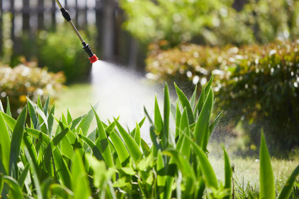 24/7 Emergency Mosquito Control experts in Elk Ridge, UT