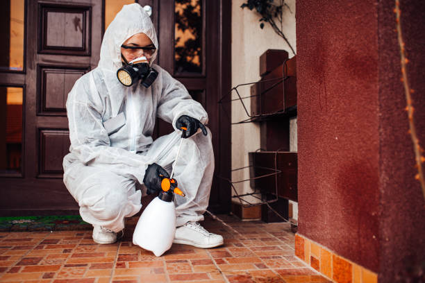 Reliable Mosquito Control contractor in Elk Ridge, UT by Show Me Pest Control